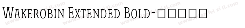 Wakerobin Extended Bold字体转换